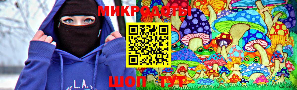 Псилоцибиновые грибы мухоморы Геленджик