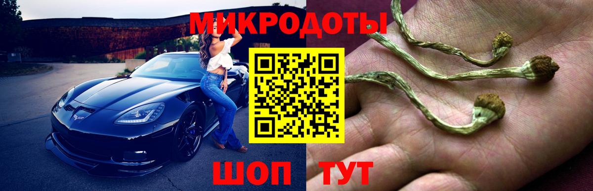Псилоцибиновые грибы мицелий  Галлюциногенные грибы GOLDEN TEACHER  Вход с VPN  Геленджик 